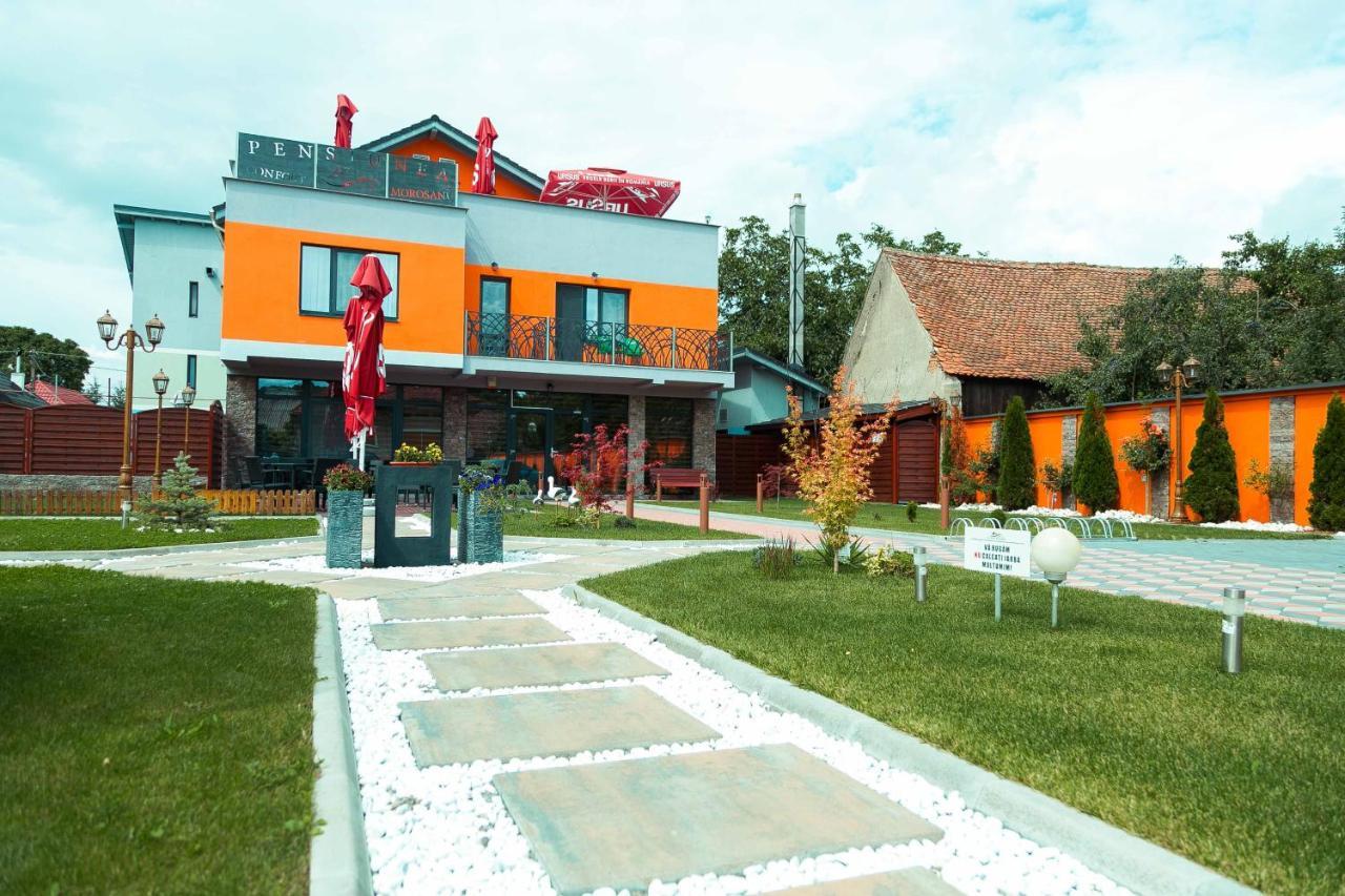 Pensiune Confort Morosanu Sinca Veche Exterior photo